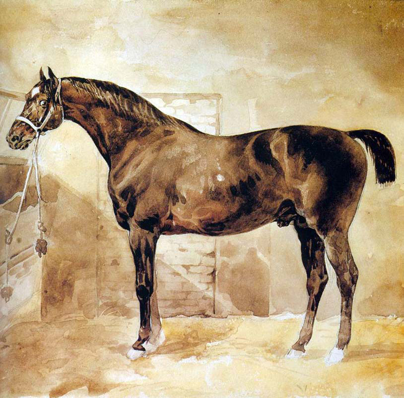English Horse in Stable 